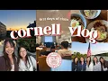 first week of sophomore year at cornell lectures friends sunset cruise