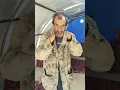 Download Lagu Life in the Gaza Strip #viralvideo #trending #fyp #tiktok #gaza #palestine #islam #muslim #sad 🍉🍉