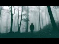 Opeth - The Leper Affinity (full lyrics)