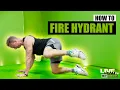 How To Do The FIRE HYDRANT EXERCISE Exercise Demonstration and Guide