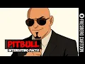 Before Mr Worldwide Pitbull s Past Biography