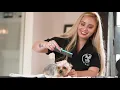 Dog Grooming Salon Promo - Ruff Tumble