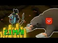 Bowfa is AMAZING at Giant Mole for Money Making Wiki to Wealth