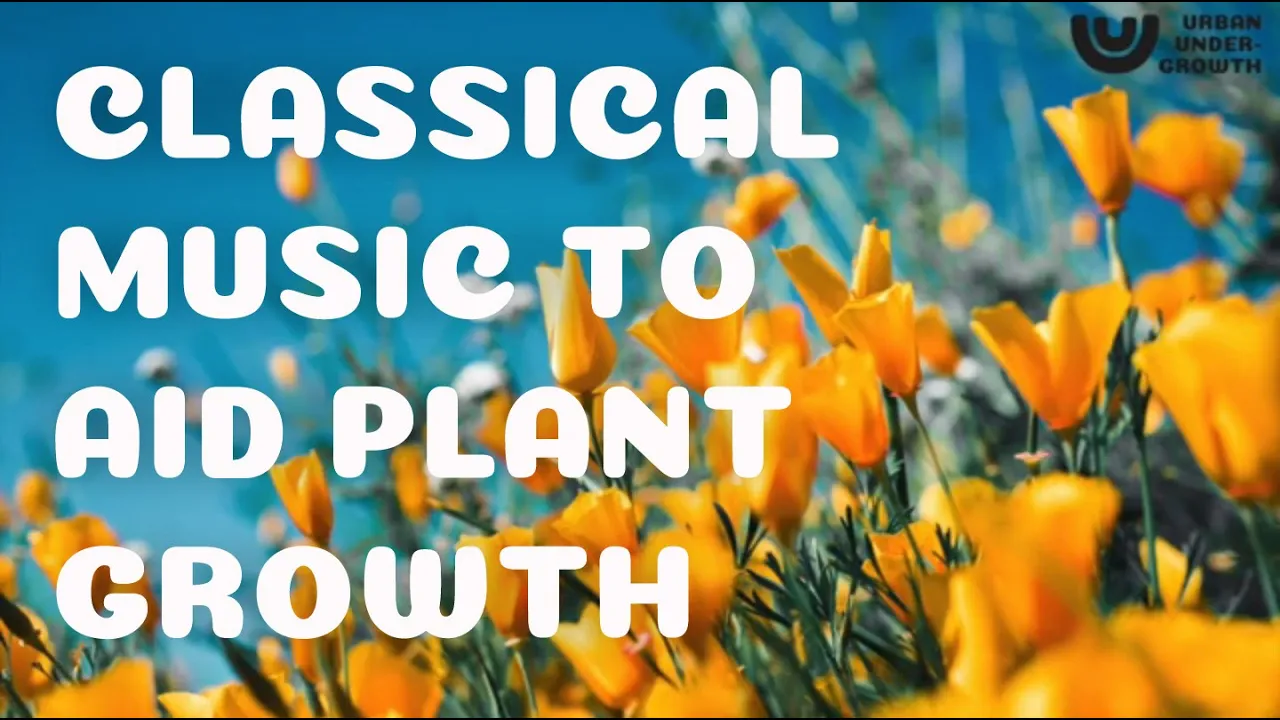 Classical music to help plants grow – Beethoven