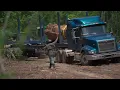 Download Lagu Mississippi Logging: Logger Buys Awesome Timber