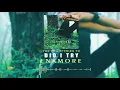 Download Lagu Enamore - Did I Try (Official Music Video)
