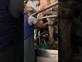 Download Lagu Meet DigiTron, GEA's new milking control unit 🤩