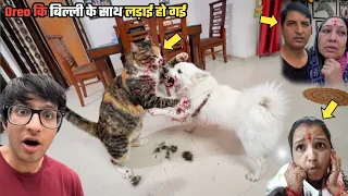 Oreo कि बिल्ली को साथ लड़ाई हो गई 😱 #souravjoshivlogs @souravjvlogs
