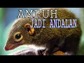 Lagu SUARA TUPAI KEKES//AMPUH DAN BERMANFAAT BUAT PIKAT