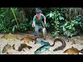 Download Lagu Effective primitive fishing skills, large schools of fish, fishing in the rainy season, survival