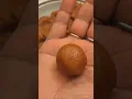 Download Lagu Coconut Laddu recipe | Nariyal Ke Laddu #shorts #youtubeshorts #laddu