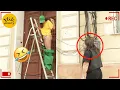Download Lagu TOTAL IDIOTS AT WORK | Instant Regret Fails Compilation 2025 #27 | Best Fails of the Week
