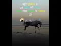 Download Lagu best motivational short #shorts #trending #thokar #sikh #sabaka #motivation#viral #success