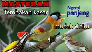 Download KOMBINASI MASTERAN TOP Suara sikatan Londo,Pelatuk,Cililin ~ Ngeroll Satu Lagu MP3