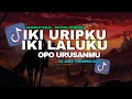 DJ IKI URIPKU IKI LALUKU OPO URUSANMU X MANGAN ORA NJALOK KOE REMIX TERBARU |  VIRAL FYP TIKTOK