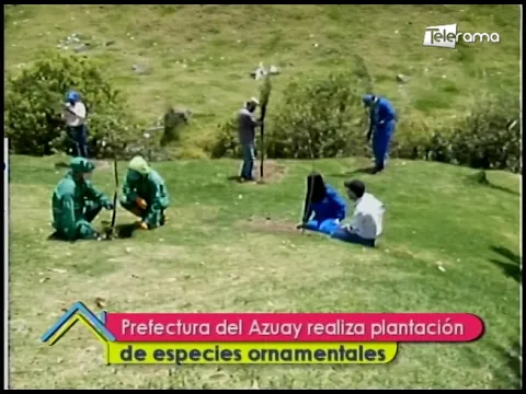Prefectura del Azuay realiza plantación de especies ornamentales