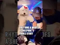 Download Lagu The Beat-Master DJ Sheepdog #funny #dj