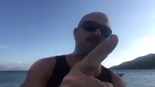 Wildwind week 20 live update