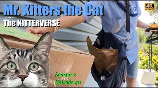 Mr Kitters The Cat Presents The Kitterverse In The Substitute Season 2 Episode 40 