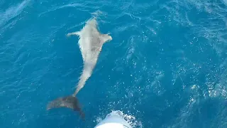 #41 jours de navigation entre Mamuju et Belitung en Indonésie