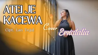 ampin harapan nihau sia sia atei je kacewa cipt lan tejul cover ernatalia