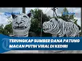 Lagu Terungkap Sumber Dana Patung Macan Putih di Kediri yang Disebut Mirip Zebra, Bukan dari Anggaran