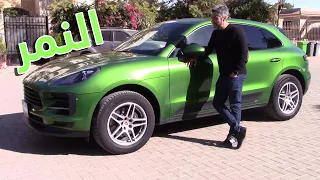                                                                              دندنها