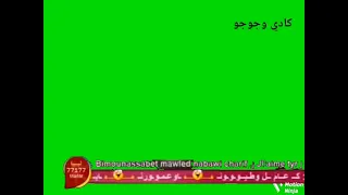 كادي وجوجو مباشر شاشة اخضر 2011 2012 2013 
