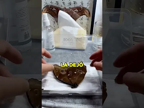 la MARIPOSA con el AZUL más bonito jamás visto 🦋🟦 #shorts