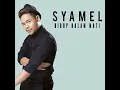 Hidup Dalam Mati - Syamel