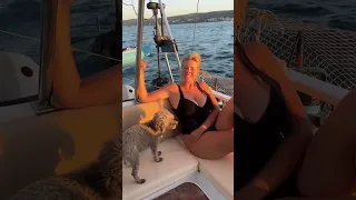 My wife just saved me $135,000 a week! #boatlife #electricsailboat