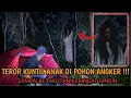 Download Lagu Camping horor‼️POHON ANGKER PALING DI SEGANI WARGA-YANG DI HUNI KUNTILANAK JAIL