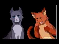 Warrior cat memes funny