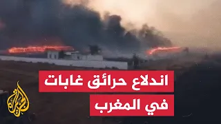 حرائق غابات تجتاح مناطق واسعة في المغرب 