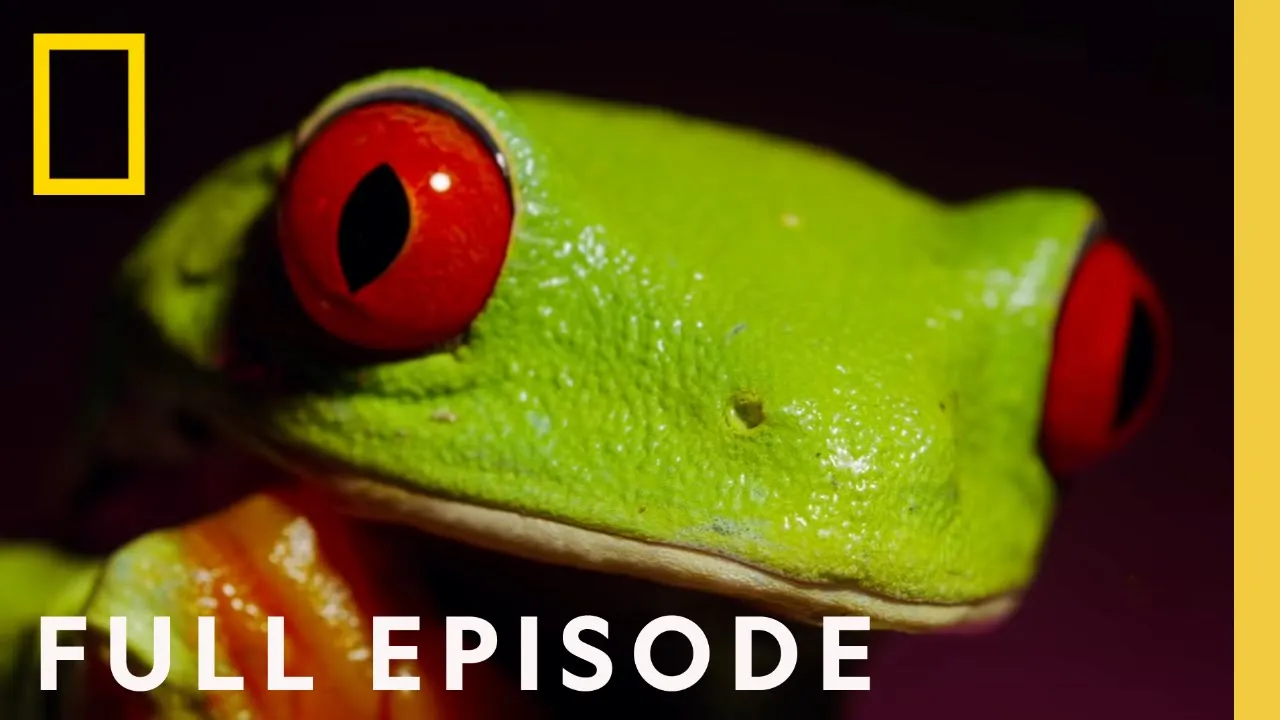 Survival (Featuring Will Smith) | Full Episode | One Strange Rock