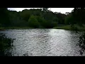 Pond Ambience at Dusk (30 seconds) - Wind Moving Across the Water #shortvideo