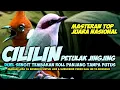 Lagu MASTERAN PETULAK JINGJING VS CILILIN NGEROL SUPER PANJANG || CILILIN ROLL PANJANG SAMBUNG JINGJING