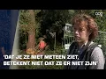 Download Lagu Bomenkap Betonbos gaat verder: ‘Geen actieve nesten gevonden’