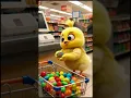 Download Lagu Super cute little chick  brings warmth Olin 😻 Who can resist such a furry little angel?#chick