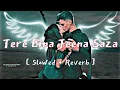 Download Lagu Tere Bina Jeena Saza Ho Gya ( slowed + reverb ) | hindi song slowed reverb | lofi songs hindi