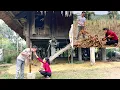 Harvesting cassava and making the best cassava cake in Vietnam - Ly Tieu Yen