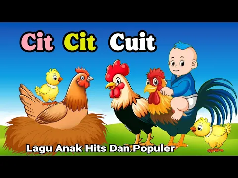 Download MP3 Lagu Anak Anak - Cit Cit Cuit - Aniasi Burung Ayam Bebek Lucu - Lagu Anak Populer