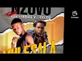NZOVU ft 408 Y CELEB mulesala