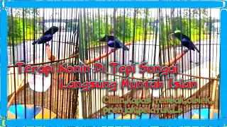 konin vomits stuffing riverside therapy is guaranteed to let you join the nagend