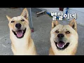 Download Lagu 오늘 애들이 이상했어요