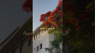 كلية طب القصر العيني الساعه السابعة صباحا 