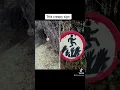 Download Lagu Creepy Things Found In The Woods 🕷