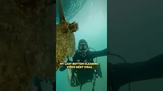 Sailboat Bottom Cleaning #sailboat #scuba #cleaning #boat #maintenance #sailingbyefelicia