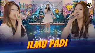dike sabrina ilmu padi official live video royal music 