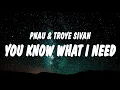 Download Lagu PNAU \u0026 Troye Sivan - You Know What I Need (Lyrics)